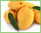 Our Product